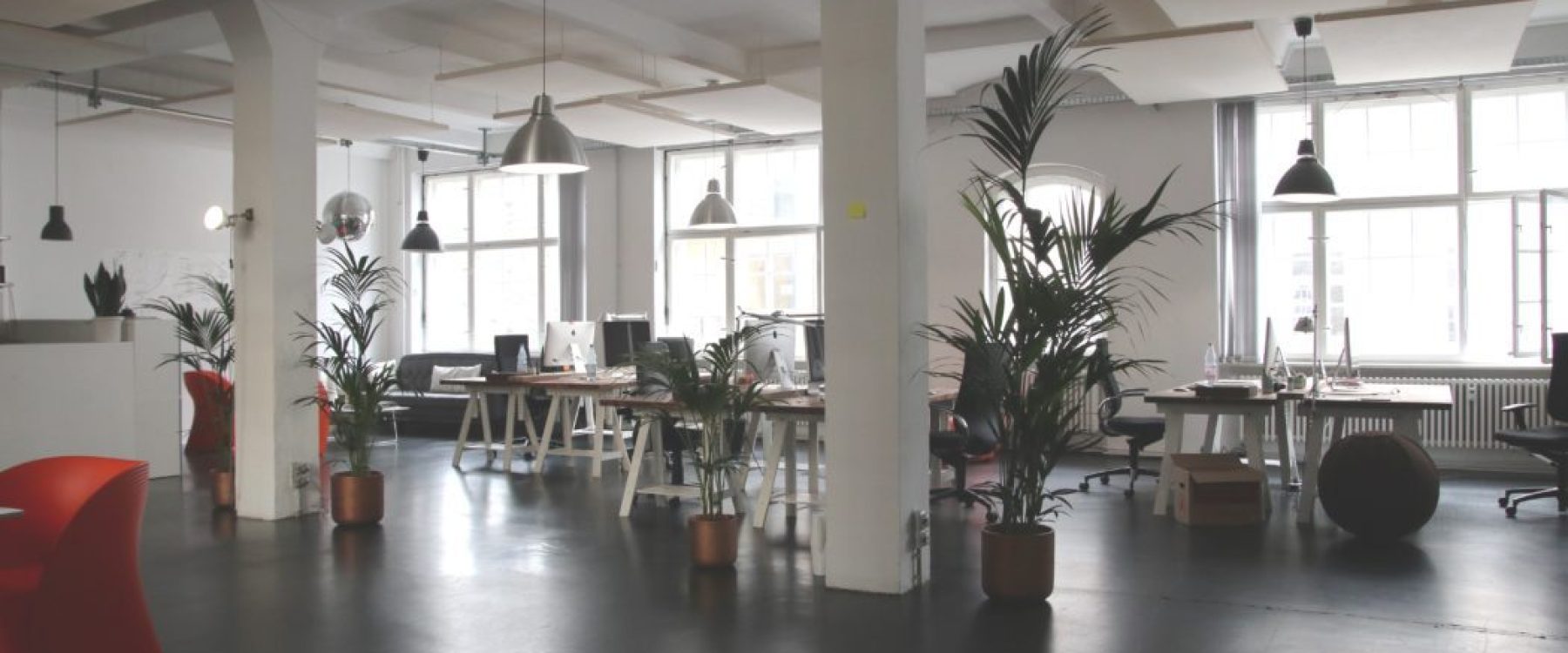 commercial office renovation showing new modern look