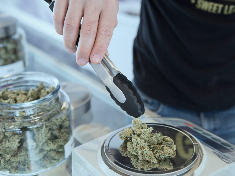 toronto cannabis facility construction