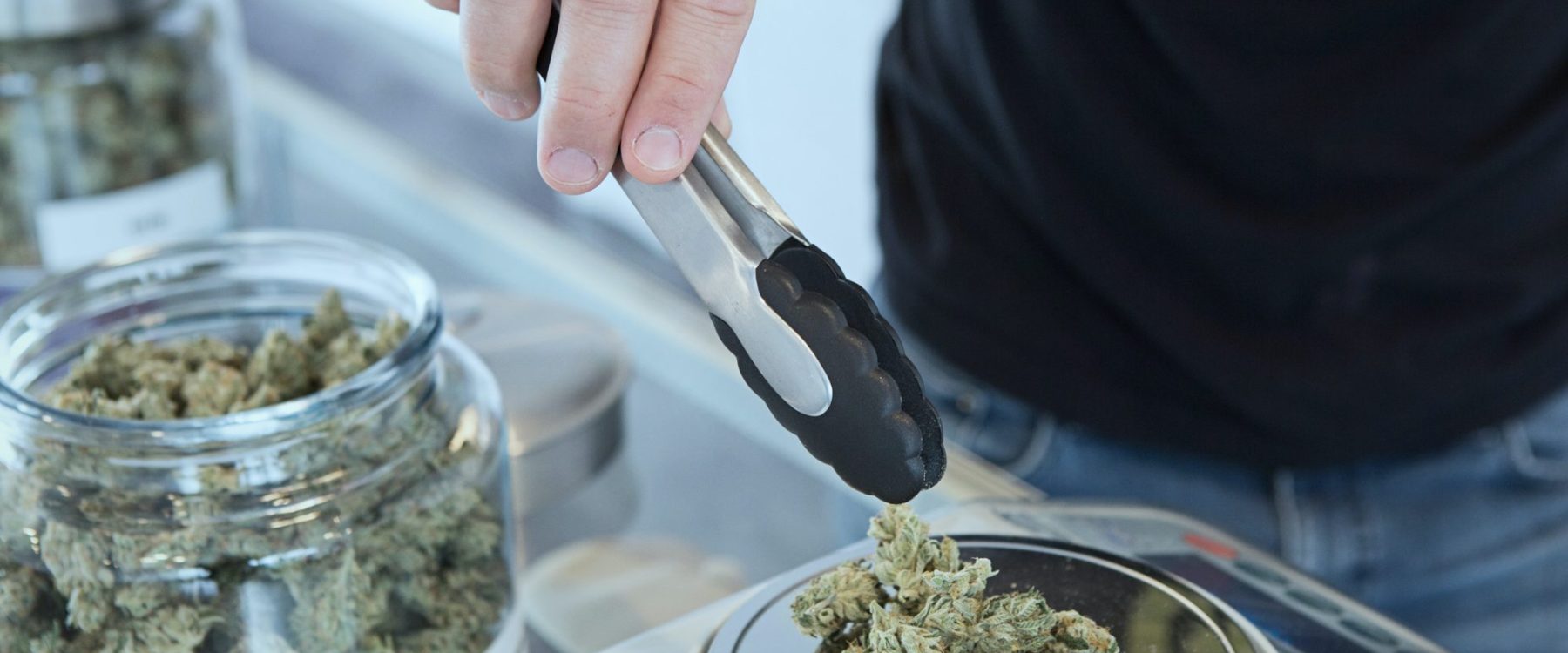 toronto cannabis facility construction