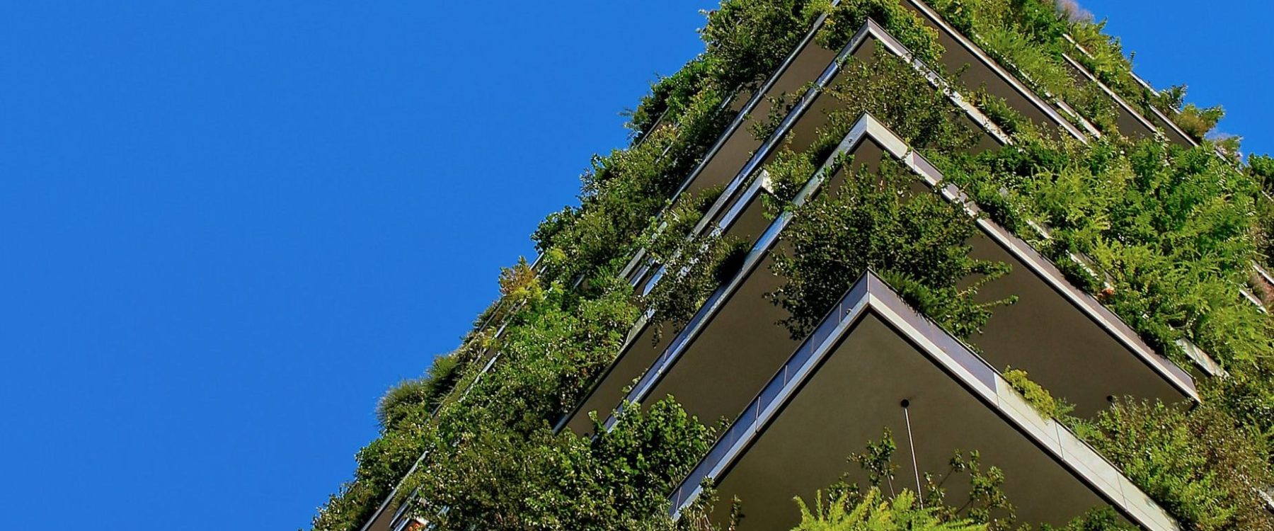 What is Green Construction in Ontario? GTA General Contractors
