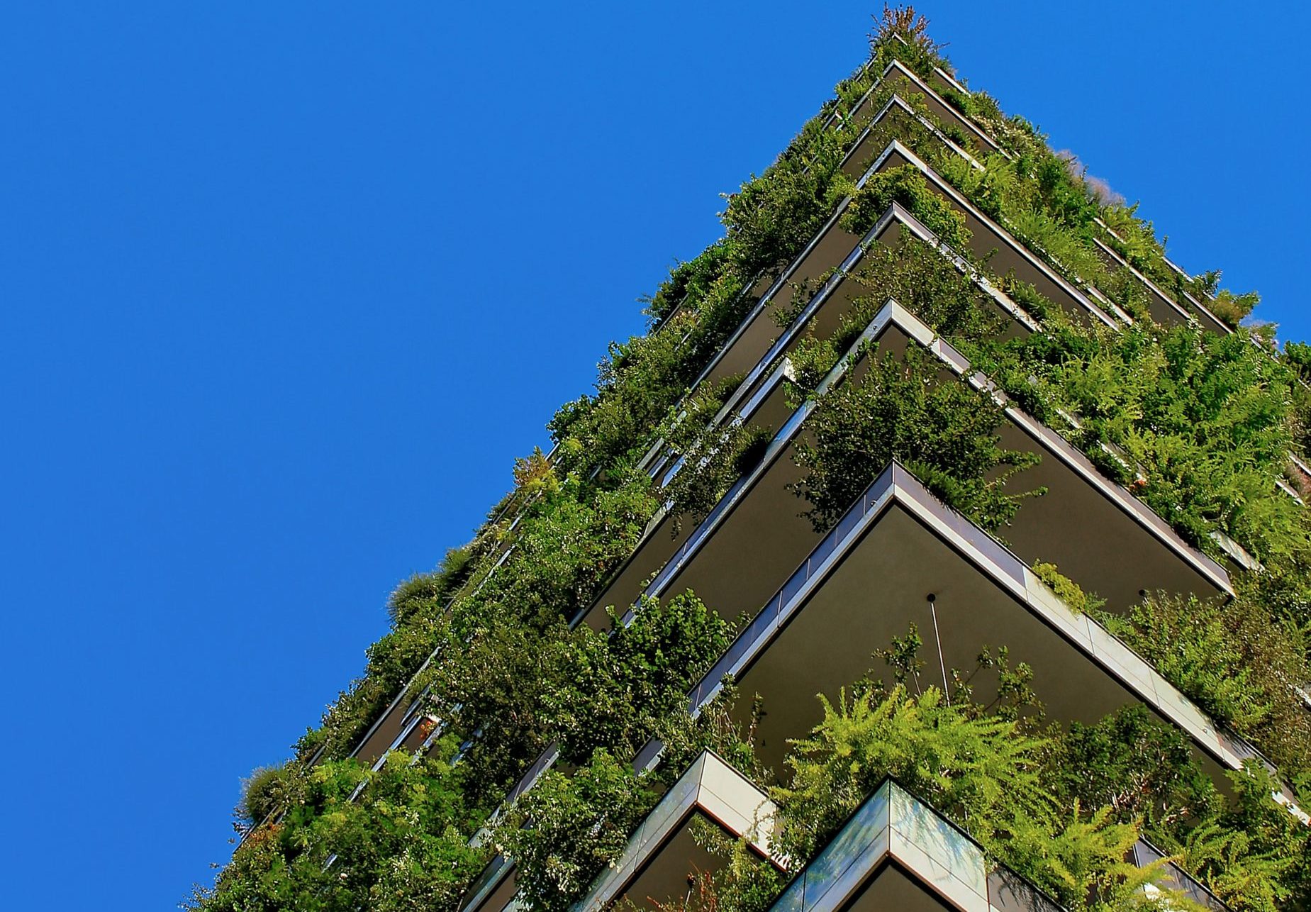 What is Green Construction in Ontario? - GTA General Contractors