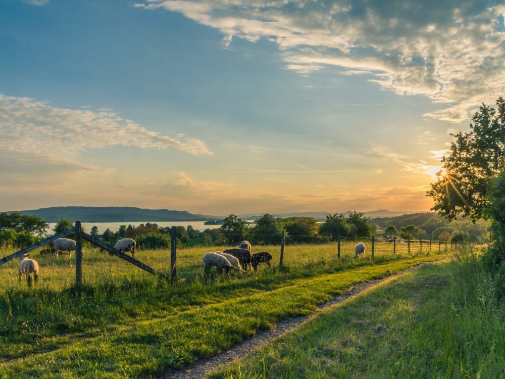 Agricultural Construction & Rezoning in Canada - GTA General Contractors