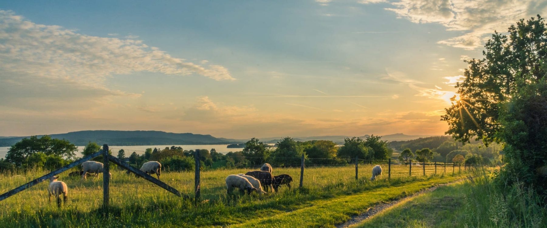 Agricultural Construction & Rezoning in Canada - GTA General Contractors