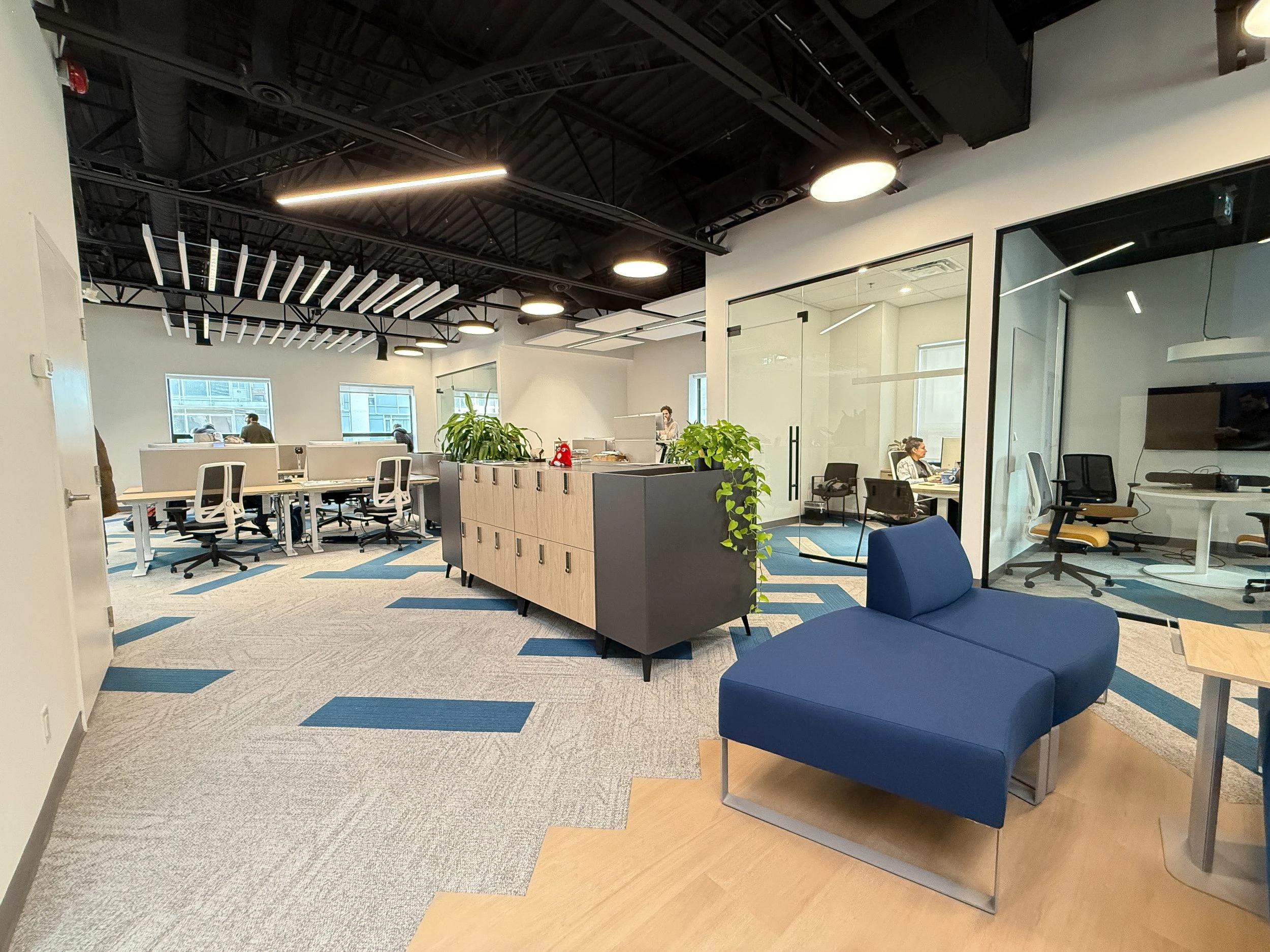 Design-build office construction for Neoen featuring glass-enclosed meeting rooms, blue-and-grey carpet accents, and modern lighting