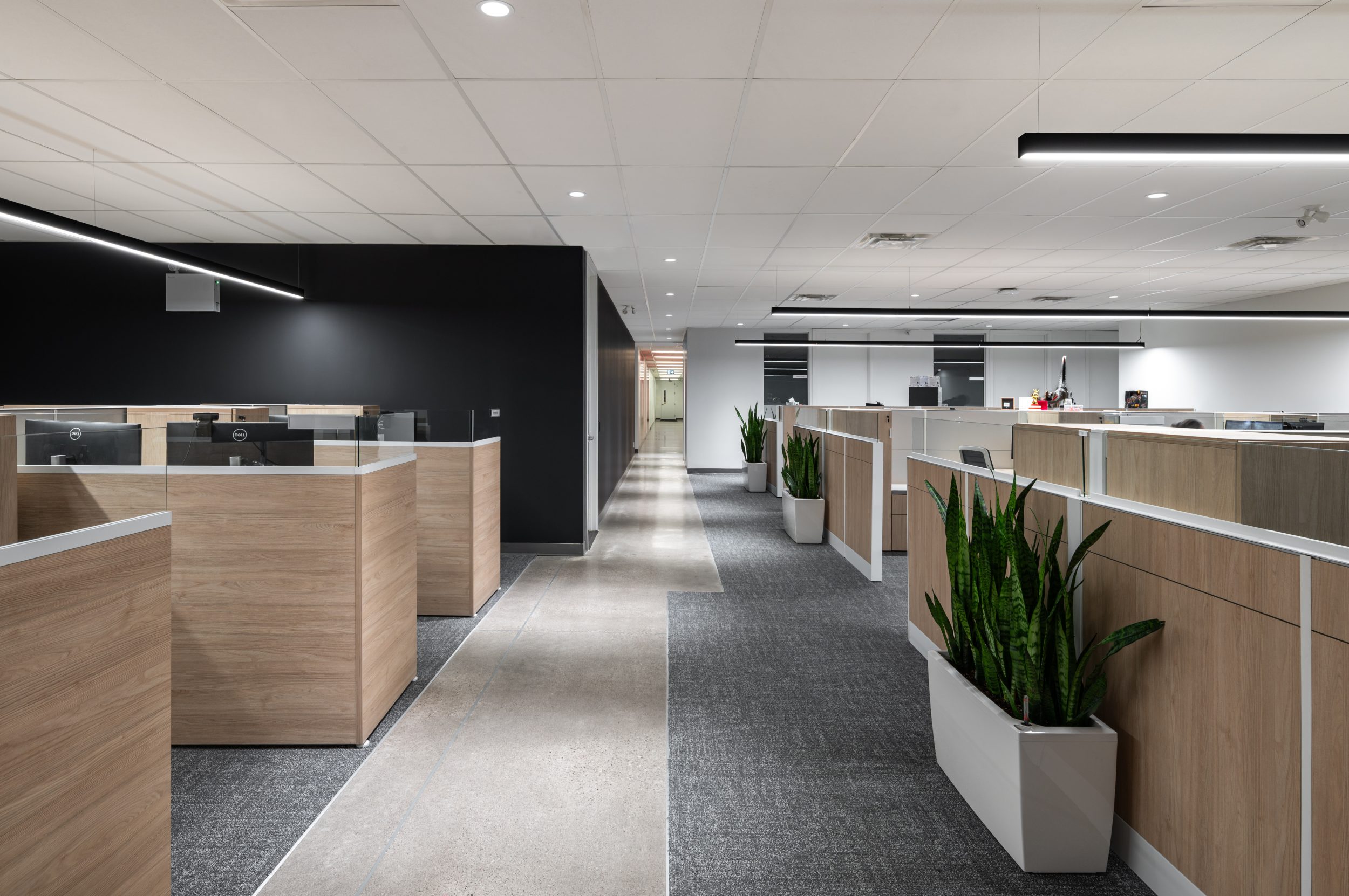 Open-concept corporate workspace at Mattel Canada Headquarters featuring custom office workstations, architectural lighting, polished concrete floors, and collaborative workplace design completed through a Design-Build renovation in Mississauga, Ontario.