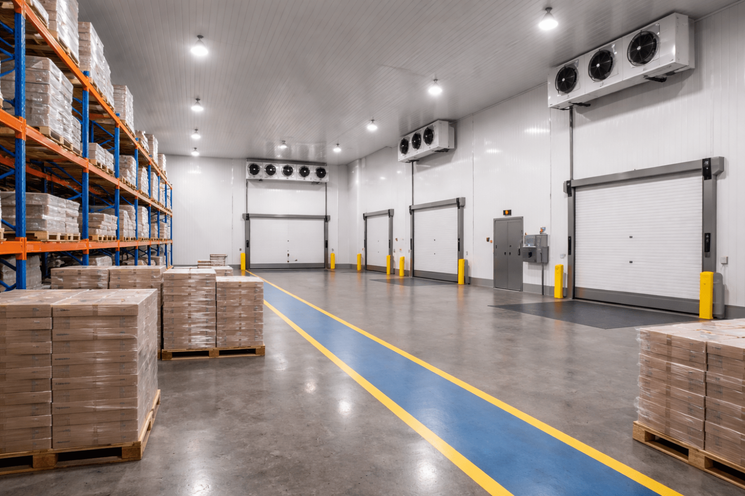Cold storage distribution warehouse in Toronto featuring organized pallet racking, forklift operation, refrigeration systems, and modern logistics infrastructure
