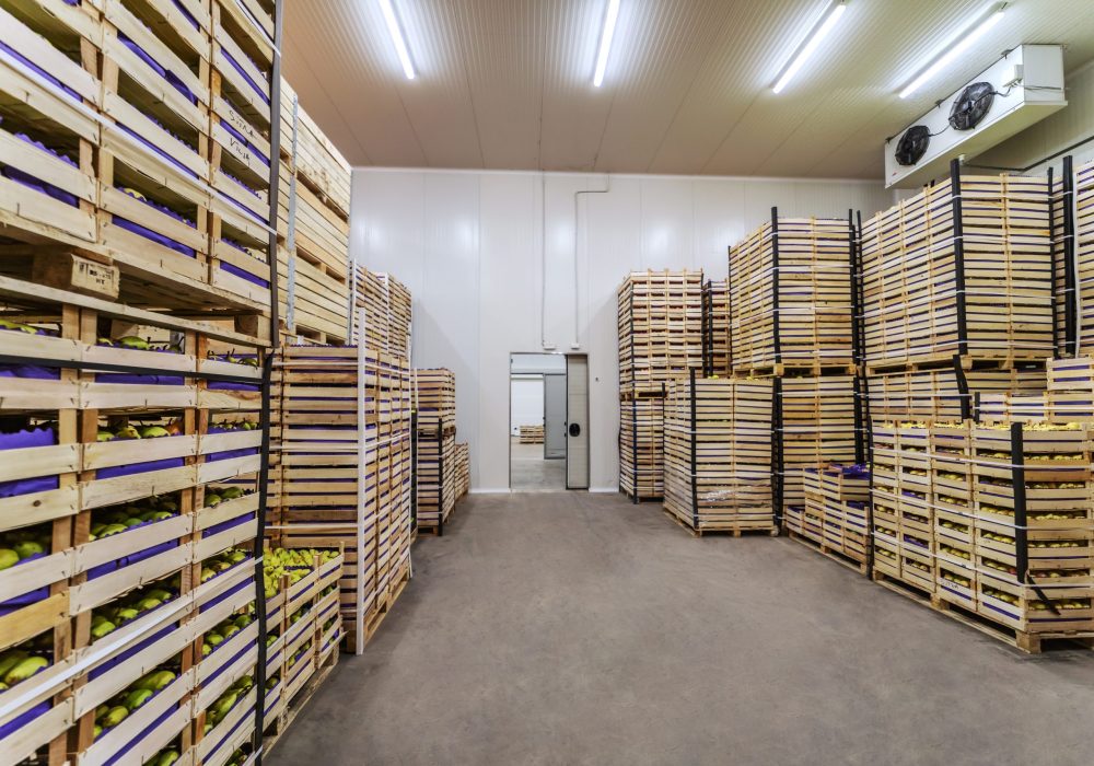 Cold Storage Facility Construction for Food and Beverage Industry in Toronto GTA Cold storage warehouse interior with industrial refrigeration and stacked produce crates, built by GTA General Contractors in Toronto GTA